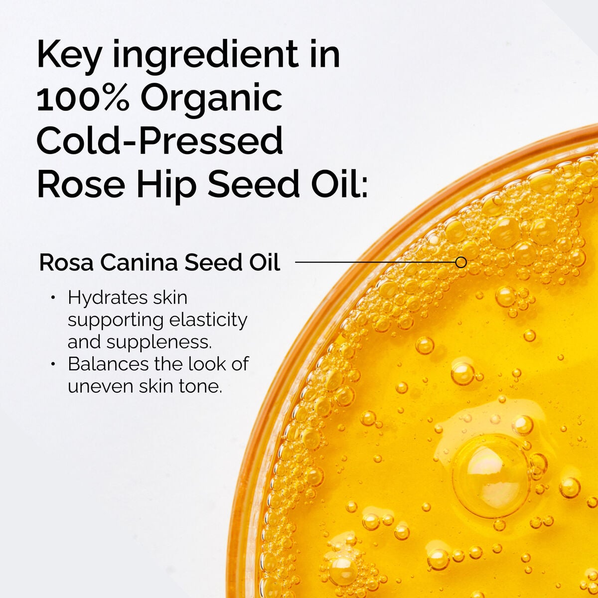 100-organic-cold-pressed-rose-hip-seed-oil-s9 FY25-D41247-ORD-Web-PDP-100-Rose-Hip-Oil-1x1-EN-2.jpg