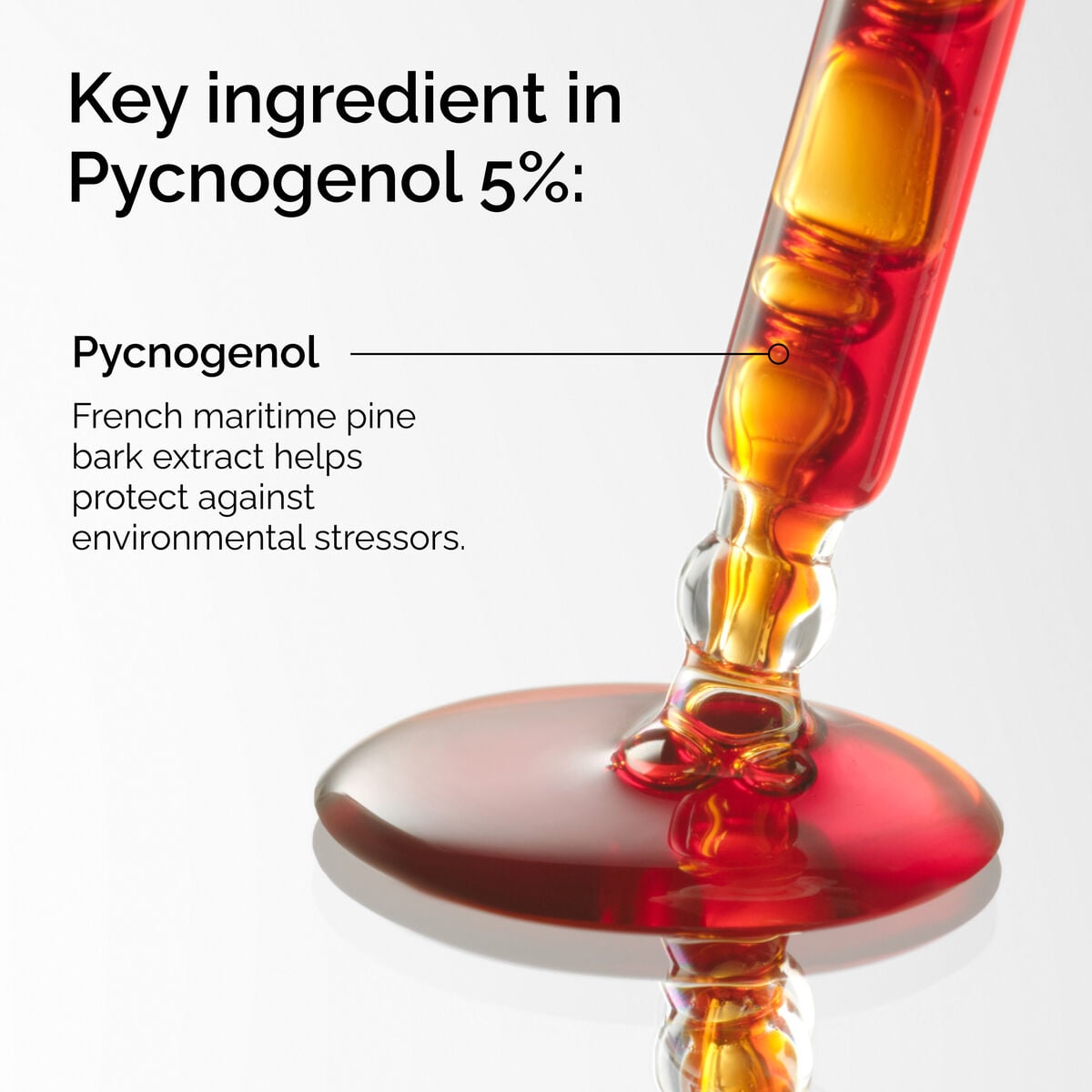 pycnogenol-5-x0 FY25-D41247-ORD-Web-PDP-Pyc-5pct-1x1-EN-2a.jpg