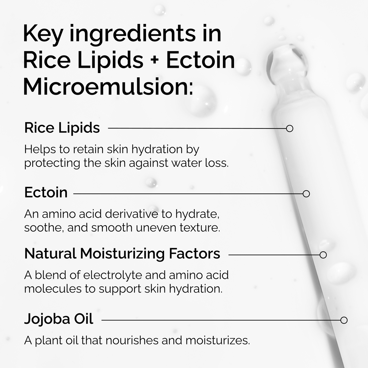 rice-lipids-ectoin-microemulsion-m8 ord-rice-lipids-ectoin-microemulsion-key-ingredients.png